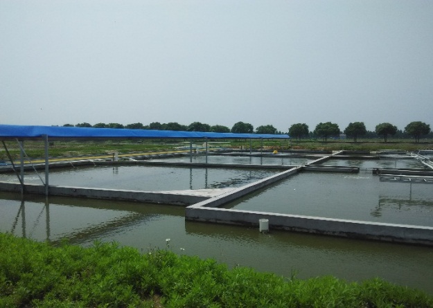 黑龙江省高纬度规模化养殖小龙虾获成功
