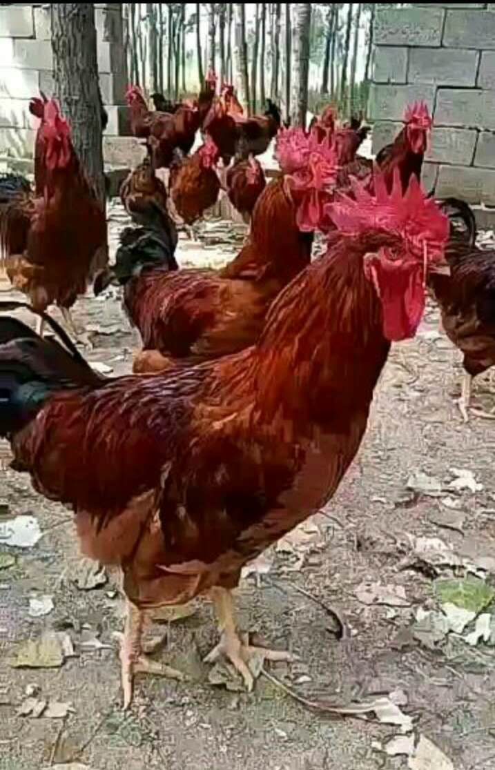 产值-北极星环保网